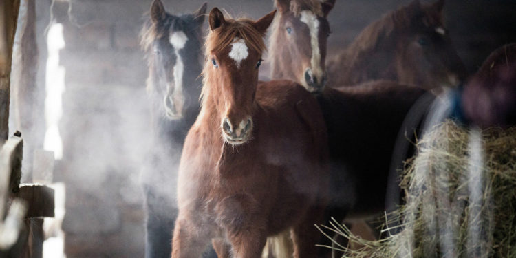 Шашылыш билдирүү: 18-21-март күндөрү суук түшөт