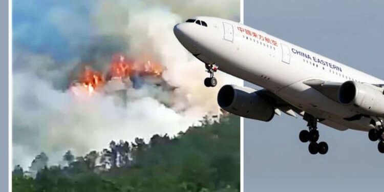 Кытайда кулап түшкөн учак кырсыгынан аман калгандар жок. Бирок каза болгондордун сөөгү дале табыла элек