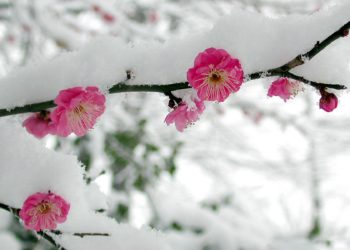 ☀️Күн качан кайра жылыйт? Синоптиктердин божомолу