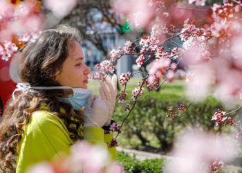 Акыркы суткада 13 адамдан коронавирус аныкталып, 1 киши каза болду. Статистика