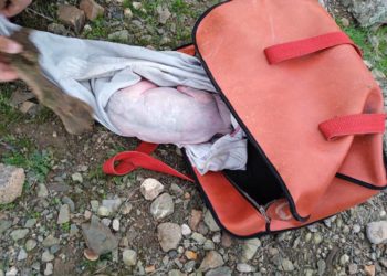 Кадамжайда талаадан эркек ымыркайдын жансыз денеси табылды. Энеси изделүүдө