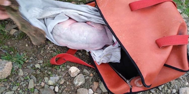 Кадамжайда талаадан эркек ымыркайдын жансыз денеси табылды. Энеси изделүүдө