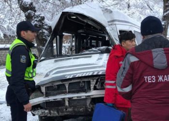 Бишкекте маршруттук таксинин айдоочусу бакты сүзүп, мүрт кетти