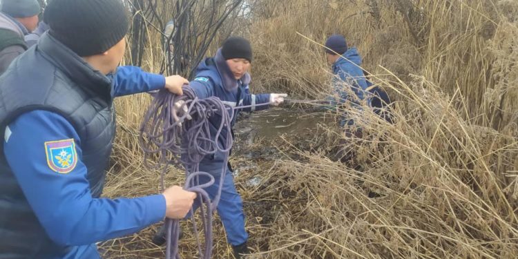 Нарында изделип жаткан 56 жаштагы кишинин жансыз денеси табылды. Ал аты менен кошо сазга чөгүп кеткен