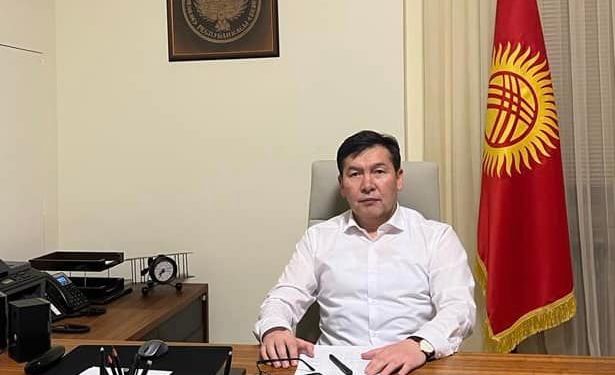Кыргызстандын Украинадагы элчиси кырдаалдан пайдаланып жаткан шылуундар пайда болгонун билдирди