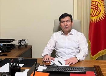 Кыргызстандын Украинадагы элчиси кырдаалдан пайдаланып жаткан шылуундар пайда болгонун билдирди