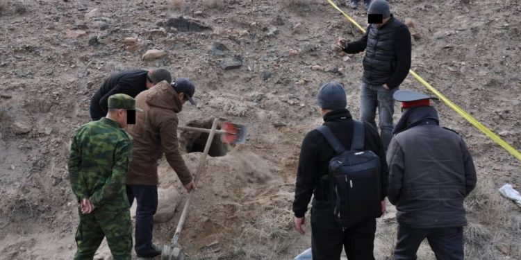 Орто-Токой суу сактагычынын жанынан курал-жарак жана ок-дарылар бекитилген жер табылды