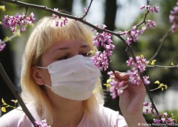 Акыркы суткада 17 адамдан коронавирус аныкталып, 1 киши каза болду. Статистика