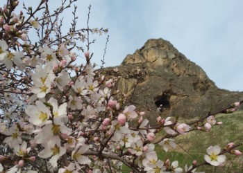 Ош шаарында 1-апрелден тарта жылуулук берүү токтотулат