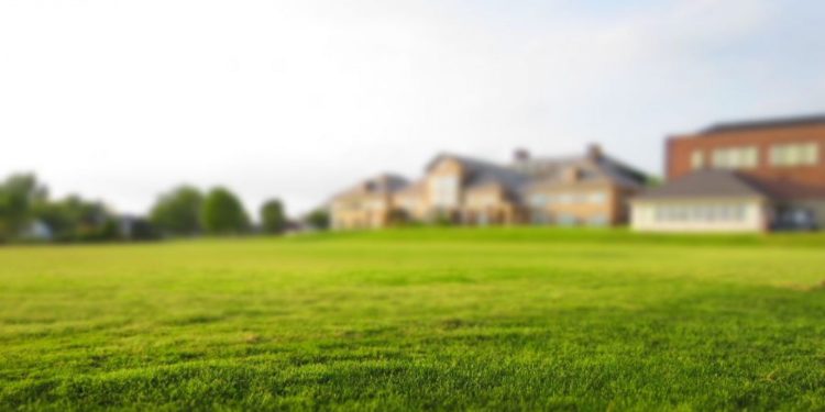 Чүйдө 12 жыл мурда менчиктелген мектептин жер тилкеси мамлекетке кайтарылды