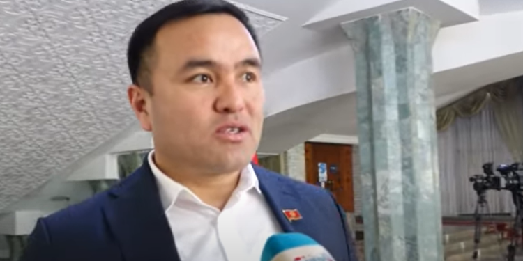 Депутат Украинадагы кырдаал боюнча: «Кыргызстандын позициясын Жапаровдун сөзүнөн эле түшүнсөк болот да»