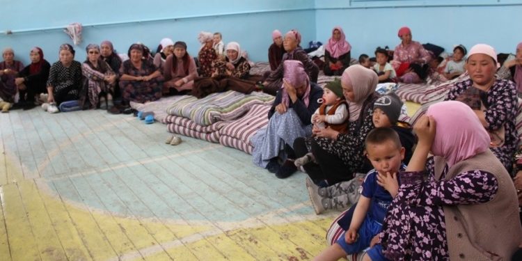 Чек арадагы атышуудан улам ӨКМ 600дөй тургунду эвакуациялады