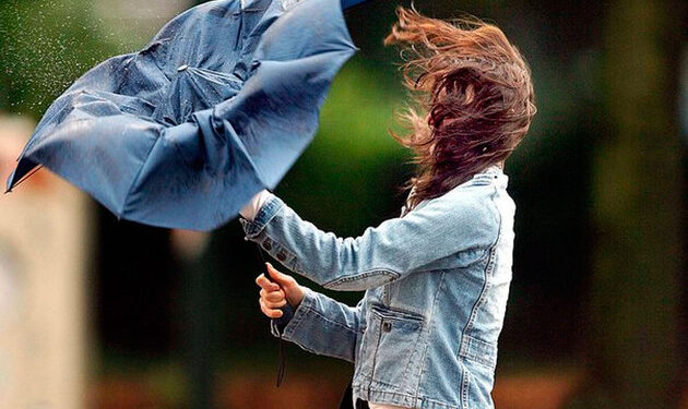 Шашылыш эскертүү! Бишкек менен Чүйдө катуу шамал болушу күтүлөт