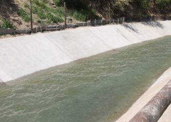 Жалал-Абадда боюн сууга таштаган 58 жаштагы жаран изделип жатат