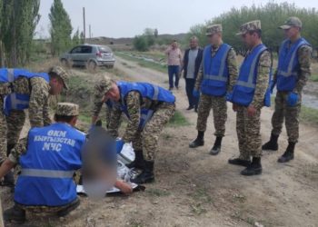 Баткендеги кургак учук менен күрөшүү борборунан качып чыккан жаран каналга боюн таштап көз жумду