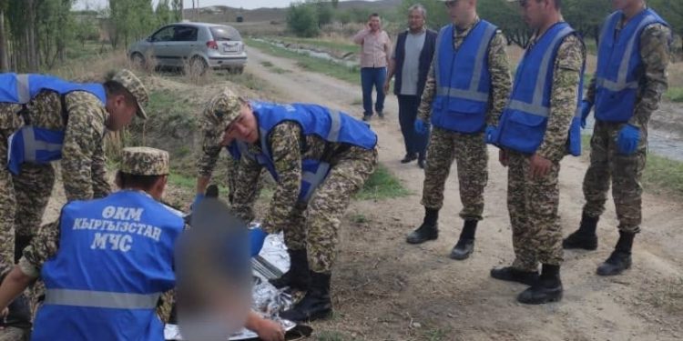 Баткендеги кургак учук менен күрөшүү борборунан качып чыккан жаран каналга боюн таштап көз жумду