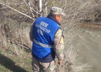 «Балык уулап жаткан киши көргөн». Чаткал дарыясында жансыз денеси табылган жарандын жакындарынын эч кимге доосу жок