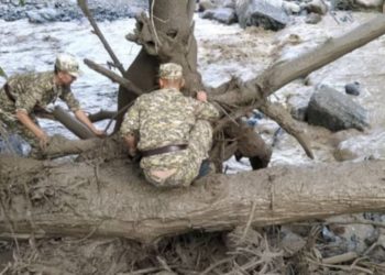 Катуу жааган жамгырдан улам аймактарда сел жүрүшү мүмкүн