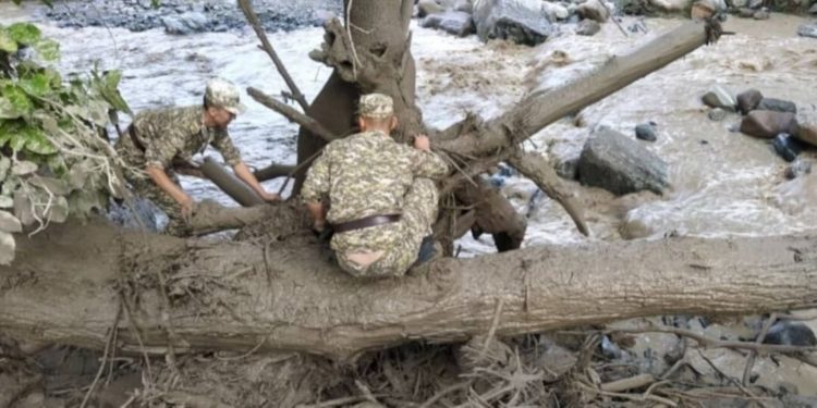 Катуу жааган жамгырдан улам аймактарда сел жүрүшү мүмкүн