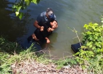 Талмасы кармап, Чоң Чүй каналына түшүп кеткен жаран куткарылды