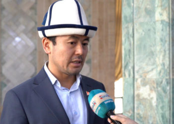 Депутат Кадырбеков кыргыз-казак чек арасында жасалма тыгын уюштургандар бар экенин айтты