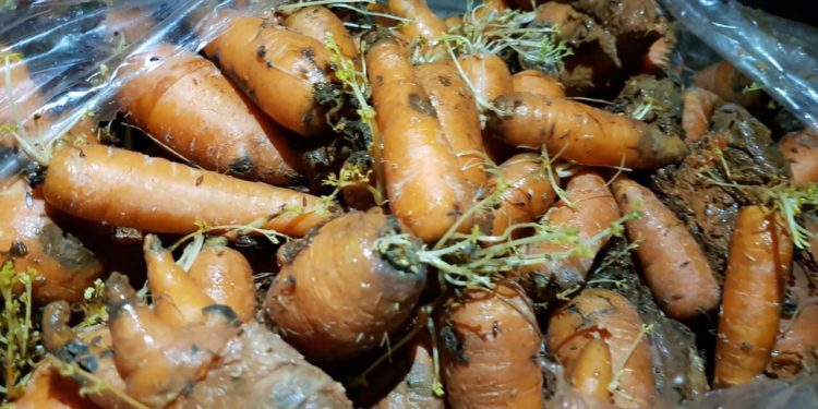 Ала-Букада үч эркек киши бузулган сабиздин исине ууланып каза болду