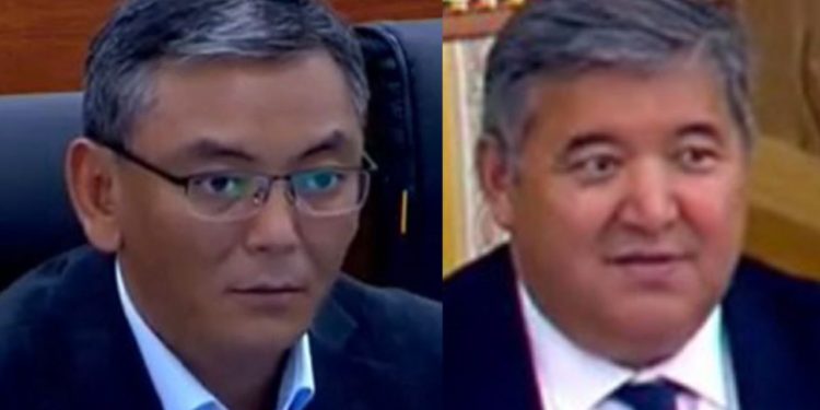 Депутат: «Жогорку сапаттагы асыл тукум уй дегенди кандай түшүнсө болот?»