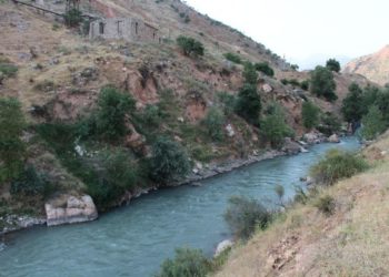 «Аялы арыз жазуудан баш тартты». Жалал-Абадда сууга боюн таштап, көз жумган кишинин майыптыгы болгон