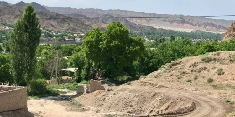 Чек арадагы атышууда жаракат алган Тажик аскери көз жумганы маалымдалды