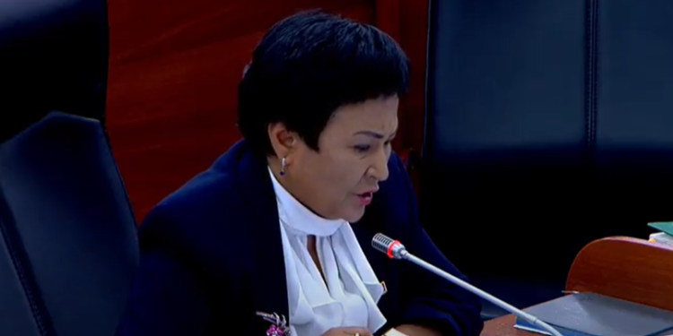 Депутат Талиева: «Айыл жеринде аутизм оорусуна чалдыккан балдардын ата-энелери абдан кыйналып жатат»