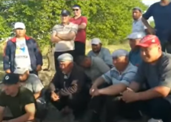 «Келечек жоктой сезилип жатат». Лейлектин дыйкандары суу сурап, Садыр Жапаровго кайрылышты (видео)