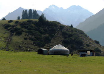 Ошто мал кароого кеткен 17 жаштагы өспүрүм дайынсыз болууда