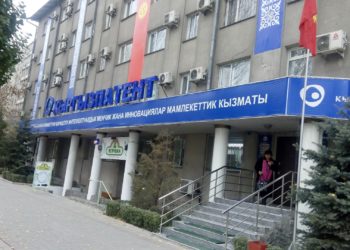 «Кыргызпатенттин» сайтында сойкулардын каталогуна шилтеме жайгаштырылышы. Кызматтык комиссия түзүлөт