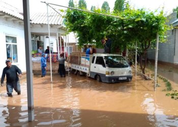 Жалал-Абадда 606 турак жайды сел каптап, Сузакта өзгөчө кырдаал режими киргизилди