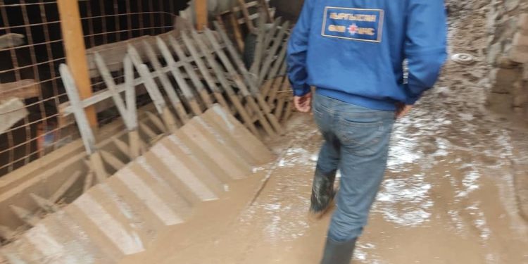 Жалал-Абаддын Терек-Сай айылында сел жүрүп, турактарга зыян келтирди