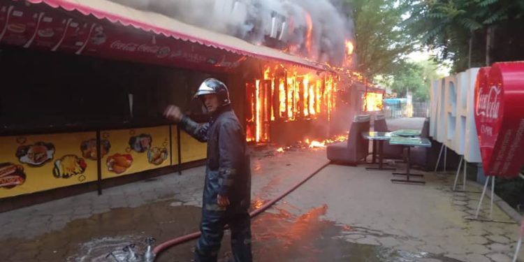 Бишкектеги Панфилов сейил багында өрт чыкты