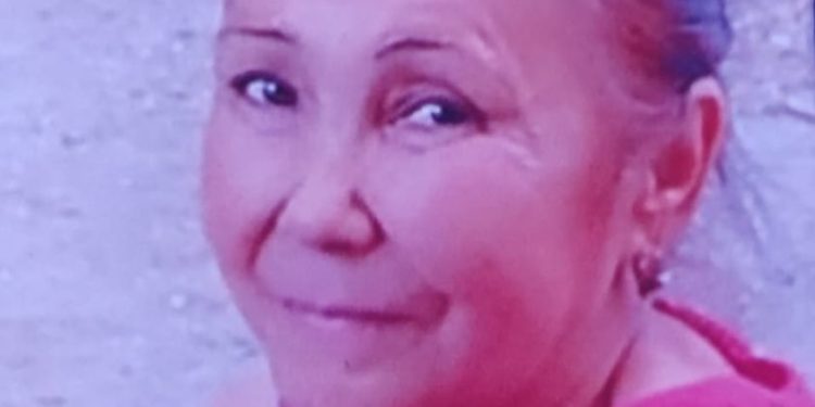 Жалал-Абадда 56 жаштагы Гүлнара Токторбаева февраль айынан бери дайынсыз болууда