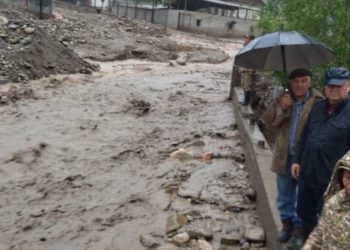 Түштүк жергесинде сел жүрүп, 50 чакты үйдү каптады