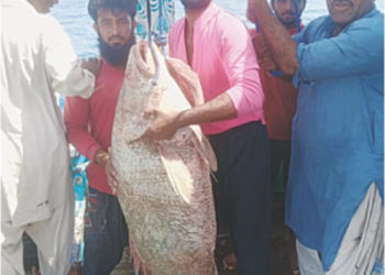 Жакырдан миллионерге айланды. 1 балык пакистандыктын жашоосун өзгөрттү