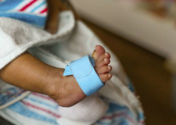 «Никесиз кош бойлуу болуп калган». Таласта токой жээкте төрөгөн келин, ымыркайын көмүп салган