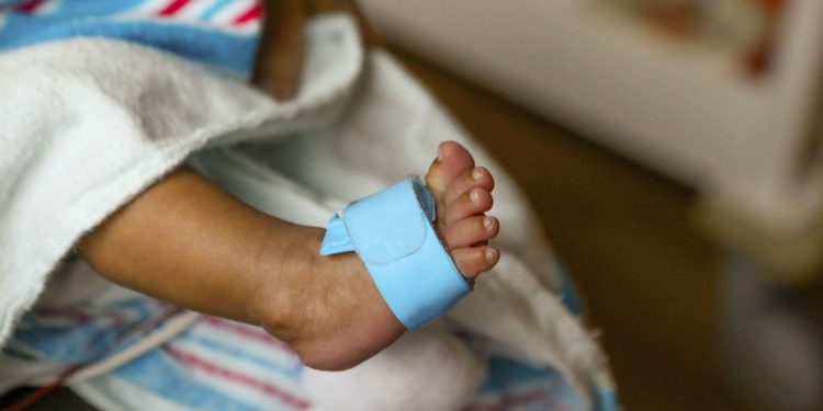 «Никесиз кош бойлуу болуп калган». Таласта токой жээкте төрөгөн келин, ымыркайын көмүп салган