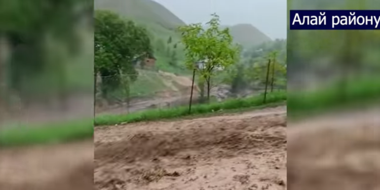 Алай районунда сел жүрүп, көпүрөнү суу алып кетти (видео)