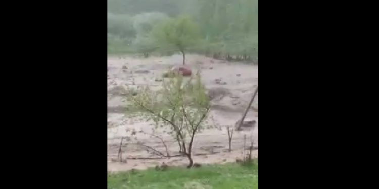 Милиция: Алай жана Кара-Кулжада жүргөн селден зыян тарткандардын чыгымы такталууда