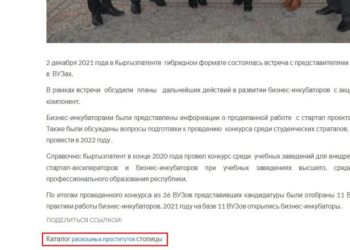 «Кыргызпатенттин» сайтында сойкулардын каталогуна шилтеме жайгаштырылган