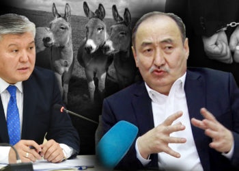 ЖАҢЫЛЫКТАР. Эшек чуусу: Кожошевдин кеңешчиси 70 миң доллар пара алууга шектелип кармалды
