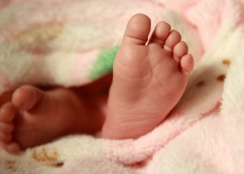 Дордой-2 конушундагы көпүрөнүн алдынан эки жаңы төрөлгөн ымыркайдын жансыз денелери табылды