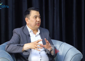 «Ширшовду кустуруу керек болчу». Марлен Маматалиев талкууга түшкөн чечим боюнча пикирин айтты