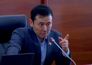 Депутат валюталык спекуляция боюнча: «Коңшу өлкөлөр бизден валюта сатып алып, өздөрүндө сатып жатышат»