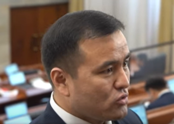 Депутат: «Ири ишканалардын Санариптик өнүктүрүү министрлигине өтүшүнө каршымын»