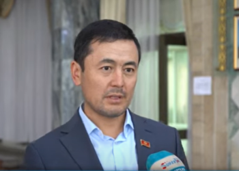 Депутат: «Мамлекеттик ишканаларды бириктирип, министрликти «монстр» кылбаш керек»